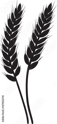 Wheat Ears Vector Illustration Isolated on White Background