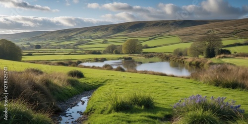 Serene Nature Landscape in the Curragh Featuring Lush Green Fields and Reflective Water Body Under a Clear Sky photo