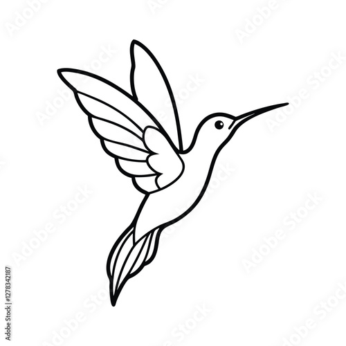 hummingbird hovering