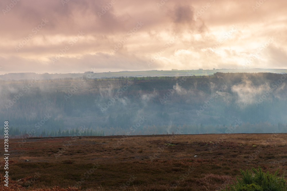 Fototapeta premium Low Clouds over Moorland and Hamsterley Forest, County Durham, England, UK.