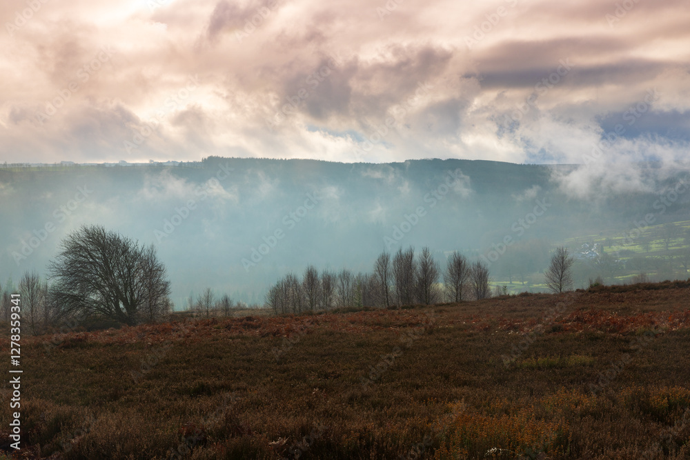 Low Clouds over Moorland and Hamsterley Forest, County Durham, England, UK. Low Clouds over Moorland and Hamsterley Forest, County Durham, England, UK.