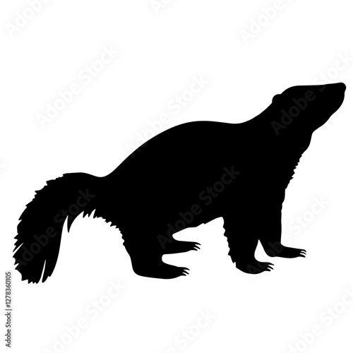 Silhouette of an Animal Resembling a Skunk, Badger, or Raccoon, with Raised Head and Fluffy Tail. Wildlife