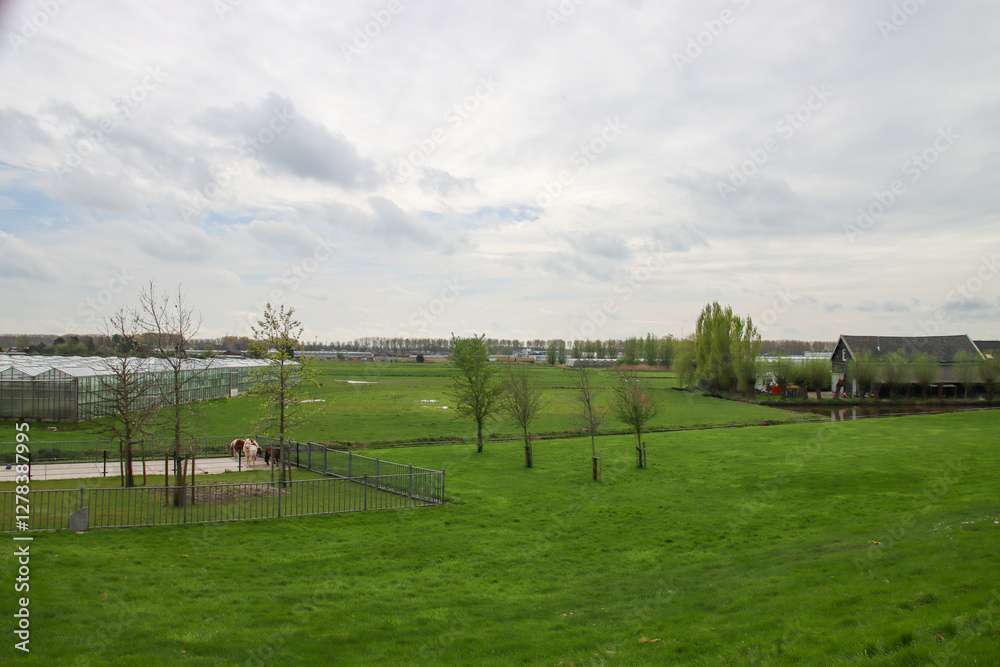 Nieuwerkerk Noord area which is waiting for development in the future Nieuwerkerk Noord area which is waiting for development in the future