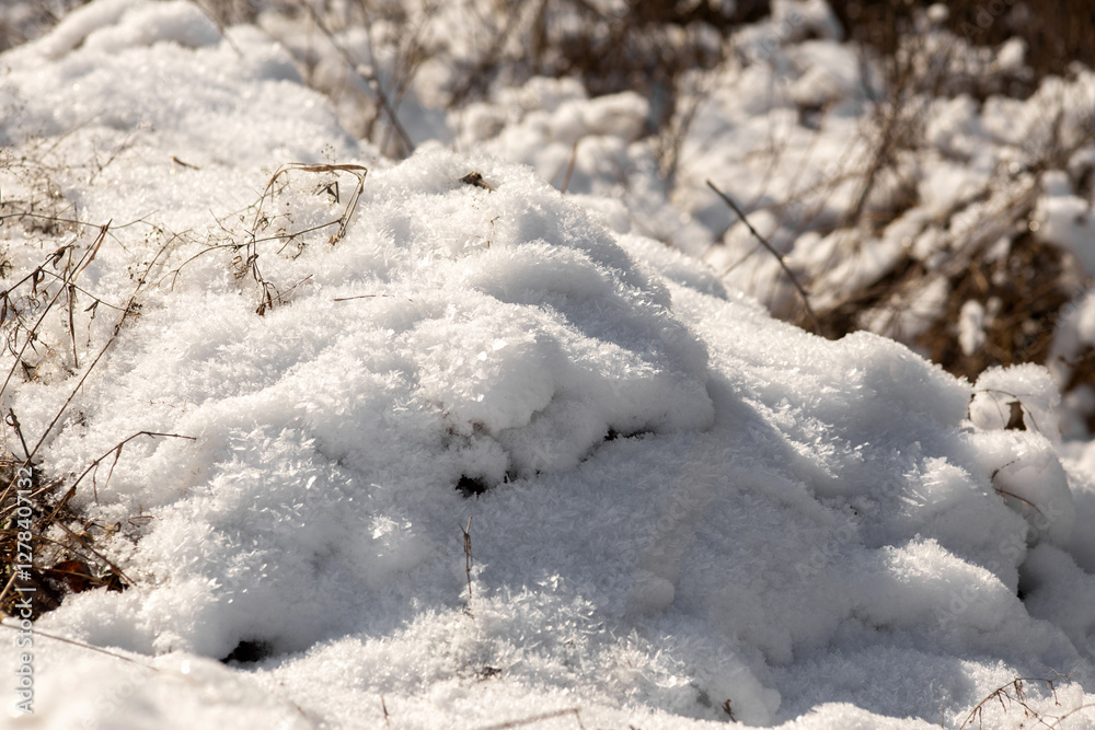 snow covered grass snow covered grass