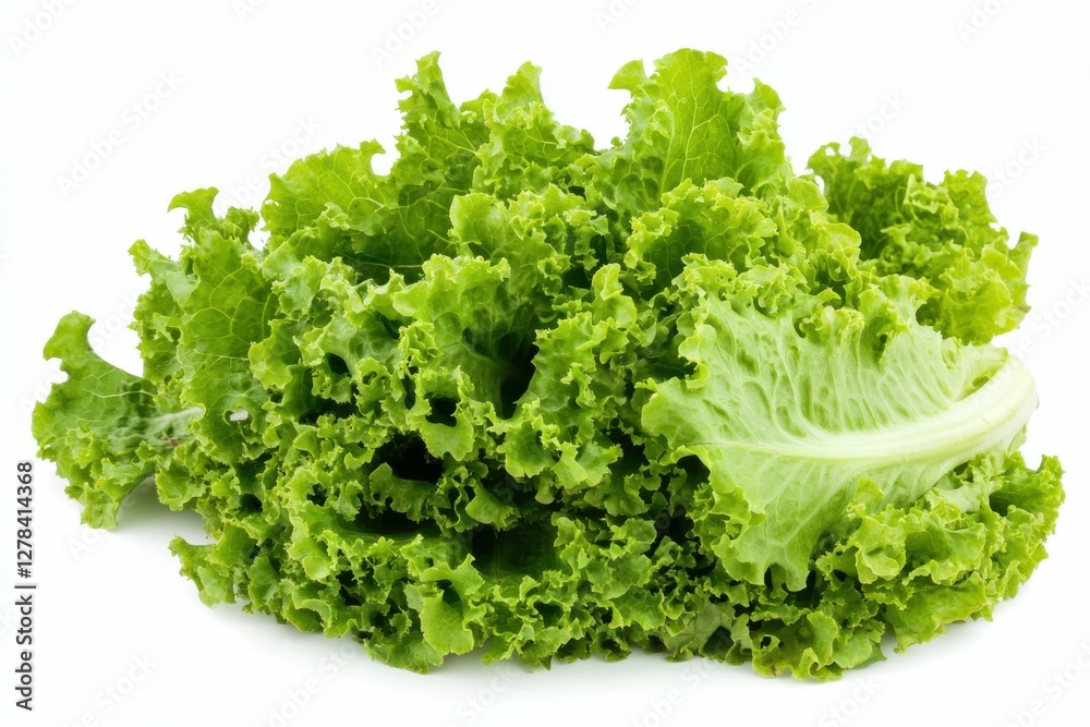 Iceberg Lettuce Isolated on White Background. Fresh Diet Food with Copy Space for Healthy Eating Concept Iceberg Lettuce Isolated on White Background. Fresh Diet Food with Copy Space for Healthy Eating Concept