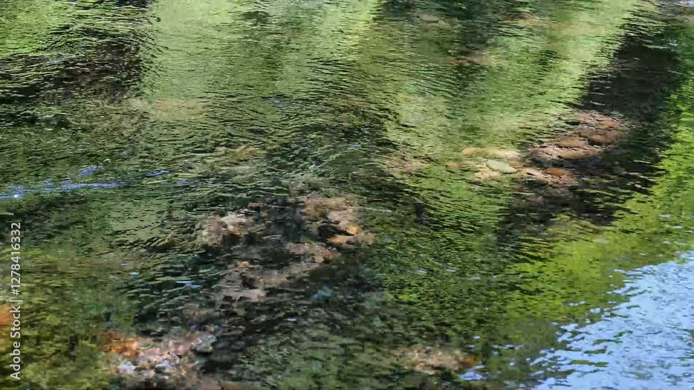 澄んだ水の流れ、森の中の小川 澄んだ水の流れ、森の中の小川