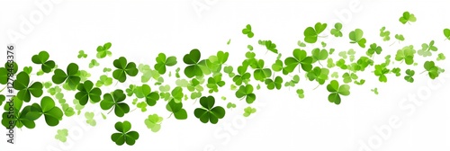 Green leafy plant with four leaves is shown in a white background