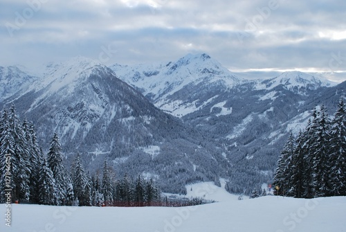 Photos winter, snow, forest, tree, mountain, nature, landscape, cold, trees, sky, white