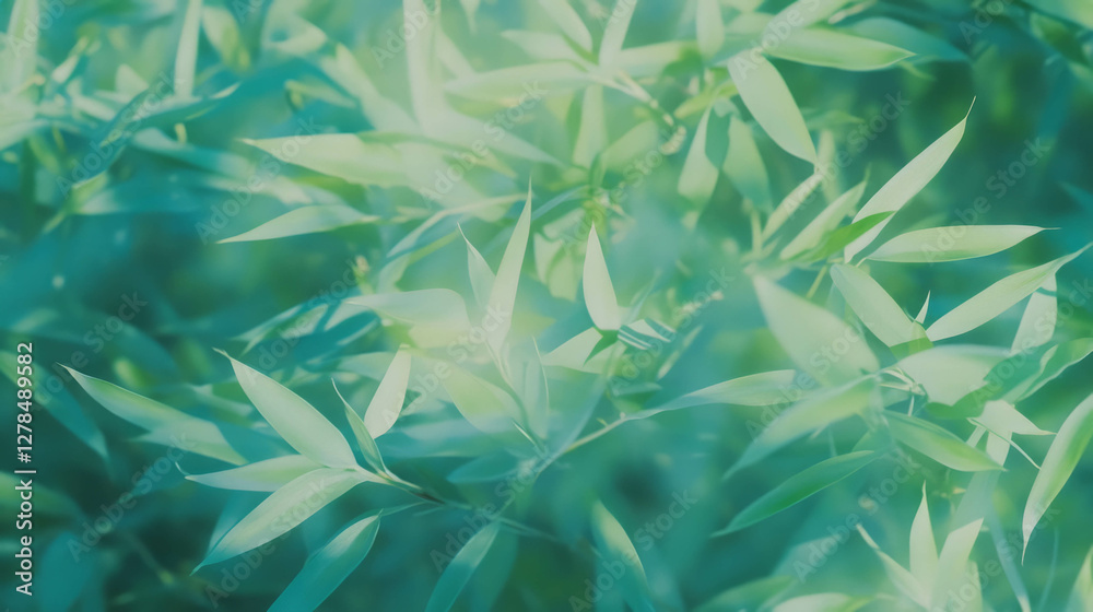 Serene light green bamboo texture with soft illuminated leaves Serene light green bamboo texture with soft illuminated leaves