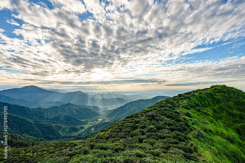  landscape with blue sky