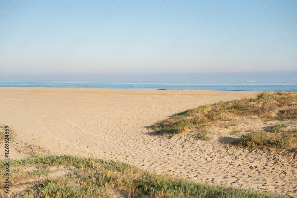 Sandy beach and calm sea meeting the horizon on a sunny day Sandy beach and calm sea meeting the horizon on a sunny day