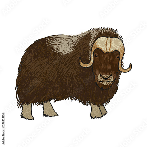 Vector Colorful Illustration of Musk Ox Isolated on White Background