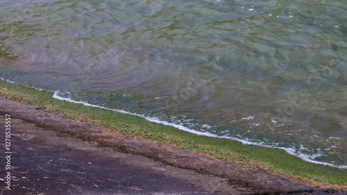 Wallpaper Mural Calm ocean water waves splashing rocky seashore in the evening close up Torontodigital.ca