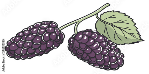 Thick and Textured Mulberry Jam Dripping Naturally. Perfect for: Homemade food markets, Farmers' markets, Healthy food promotions
