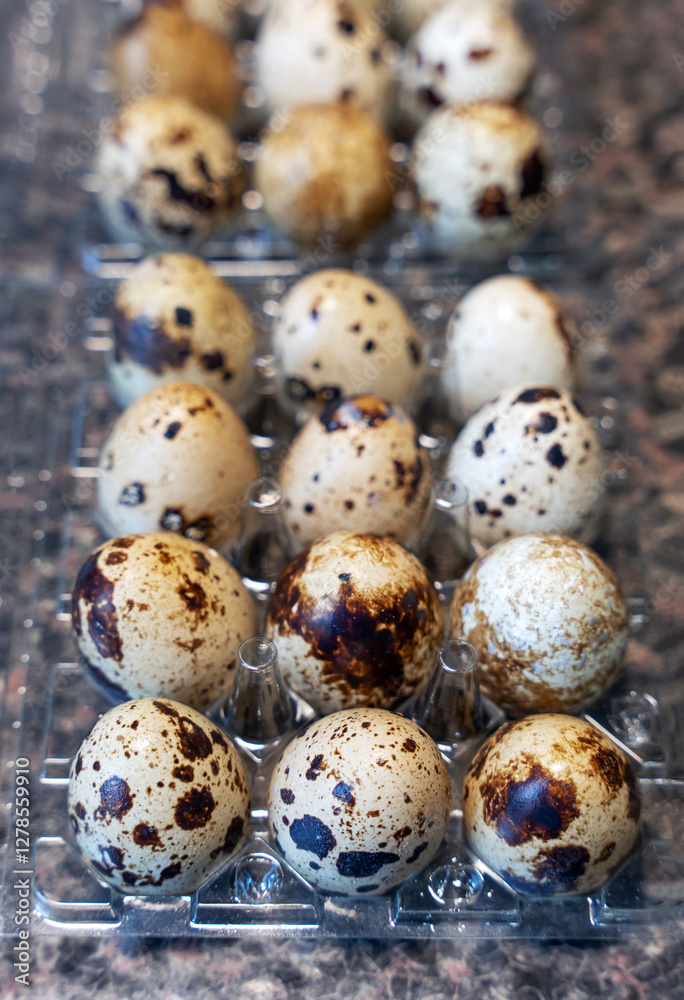 Close-up of quail eggs lying in two transparent plastic trays, vertical photo. Close-up of quail eggs lying in two transparent plastic trays, vertical photo.