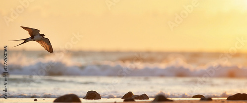 Swallow soaring gracefully over crashing waves at sunset, nature's beauty photo