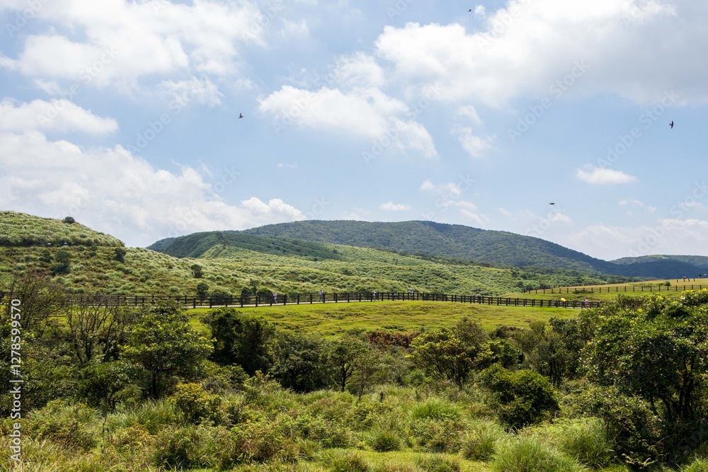 Landscape View Of The Beautiful Qingtiangang, Yangmingshan National Park (The Highest Mountain Of Taipei) , Taipei, Taiwan
