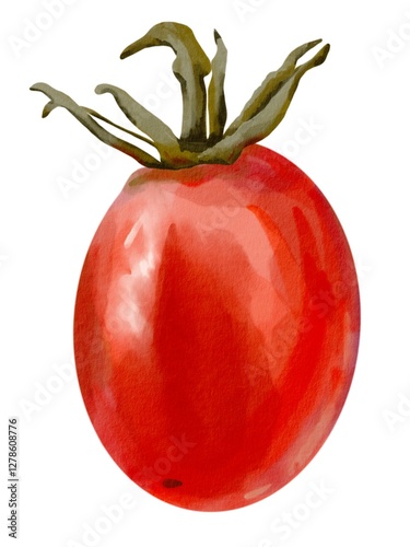 watercolor tomato illustration red isolated on white