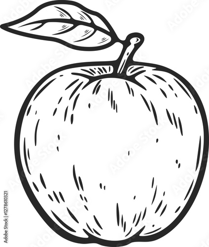 Apple whole one big round fruit organic food vegetarian snack engraving hand drawn illustration black white isolated vintage line art sketch silhouette graphic style poster label web	