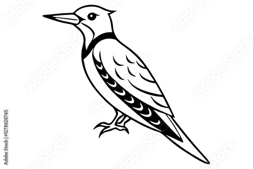 Elegant Woodpecker Sketch photo