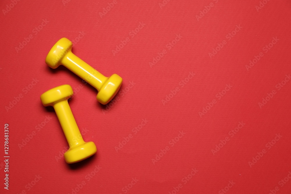 Dumbbells on red background, flat lay. Space for text Dumbbells on red background, flat lay. Space for text