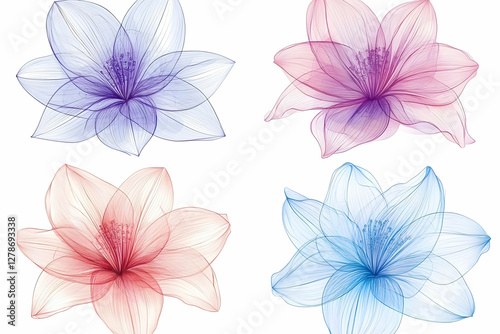 Translucent Floral Illustra...