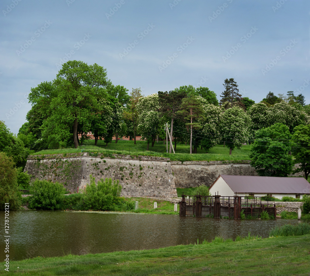 Obraz premium elements of defensive fortification walls, view from a calm lake covered with water lilies and reeds in Zbarazh, Ternopil region, Ukraine