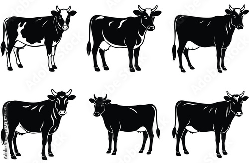 Cow silhouette set (breeds and angles). Vector Calf Silhouettes Isolated on White.