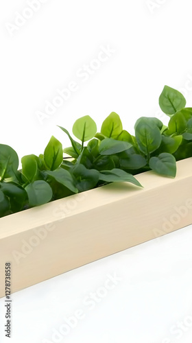 Cream Planter Box with Lush...