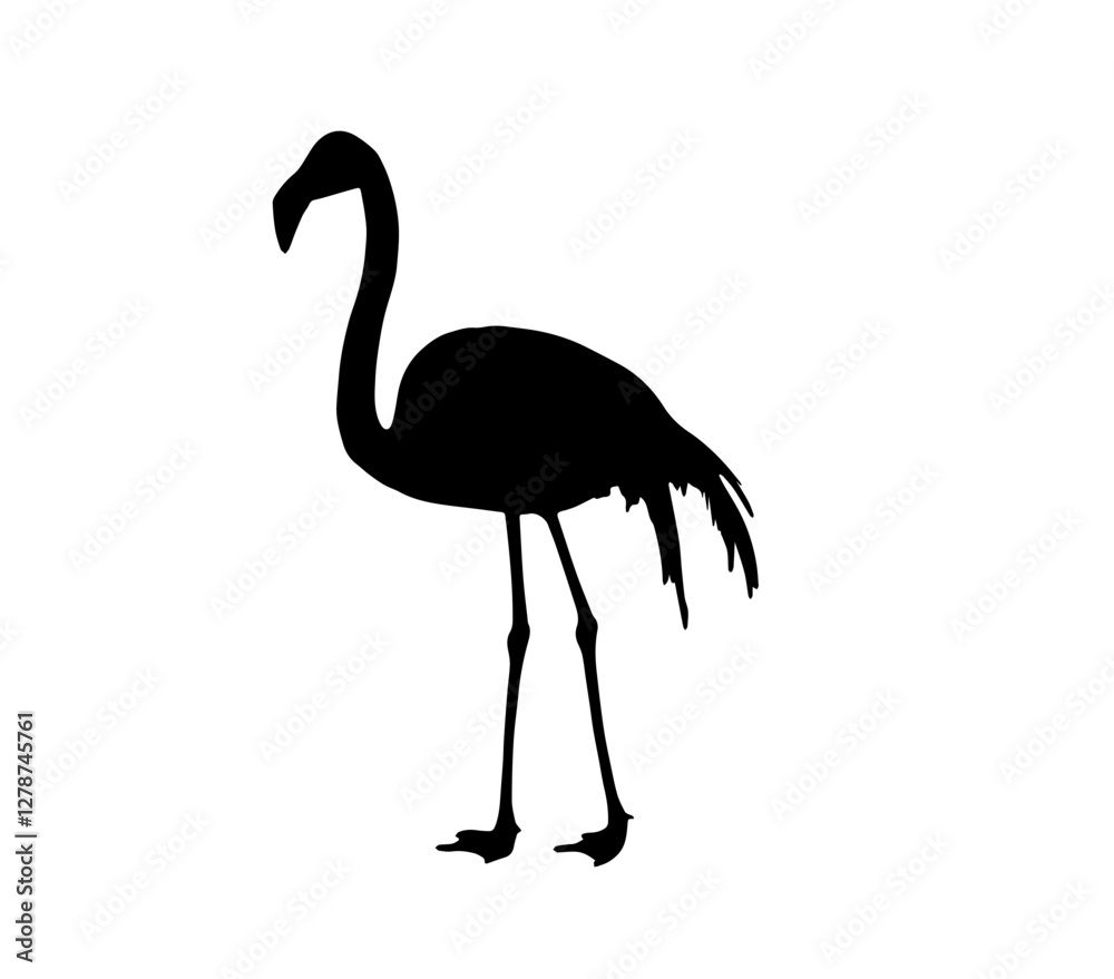 Fototapeta premium flamingo black on white background, 