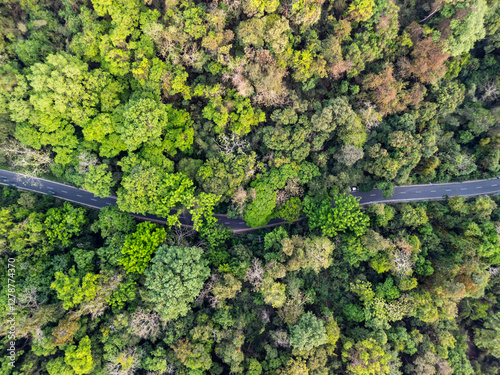 Lawachara National Park, Sreemangal, Sylhet, Bangladesh