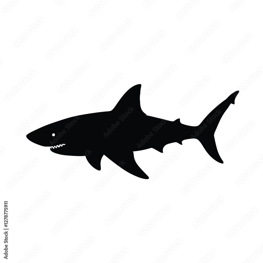 shark vector illustration shark vector illustration