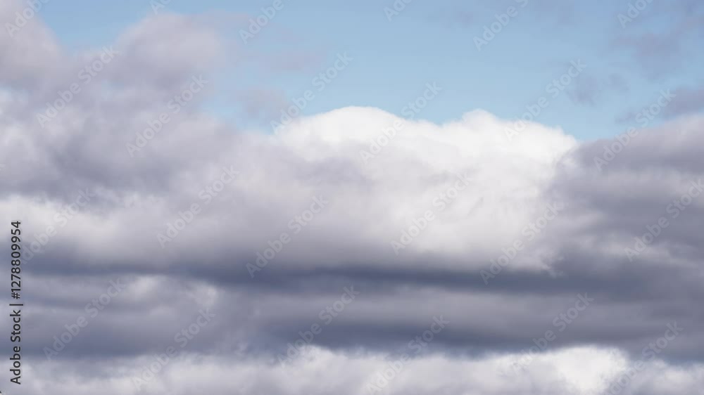 Floating Cumulus Clouds Under a Vibrant Blue Sky Floating Cumulus Clouds Under a Vibrant Blue Sky