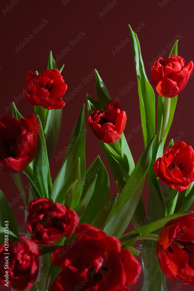 Vibrant, elegant and artistic red tulip aesthetic textured background, Vibrant, elegant and artistic still of red tulips, minimalist aesthetic composition, moody colors Vibrant, elegant and artistic red tulip aesthetic textured background, Vibrant, elegant and artistic still of red tulips, minimalist aesthetic composition, moody colors