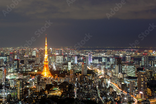 Photography Tokyo, Japan. Night view from Roppongi hills observation deck