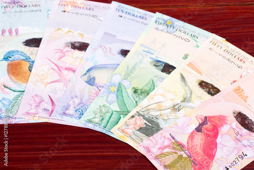 Bermudian money a business background