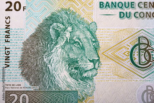 Lion, Kundelongu Park from Congolese franc
