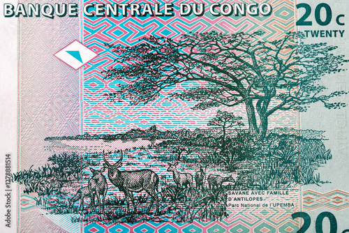 Upemba National Park from Congolese money