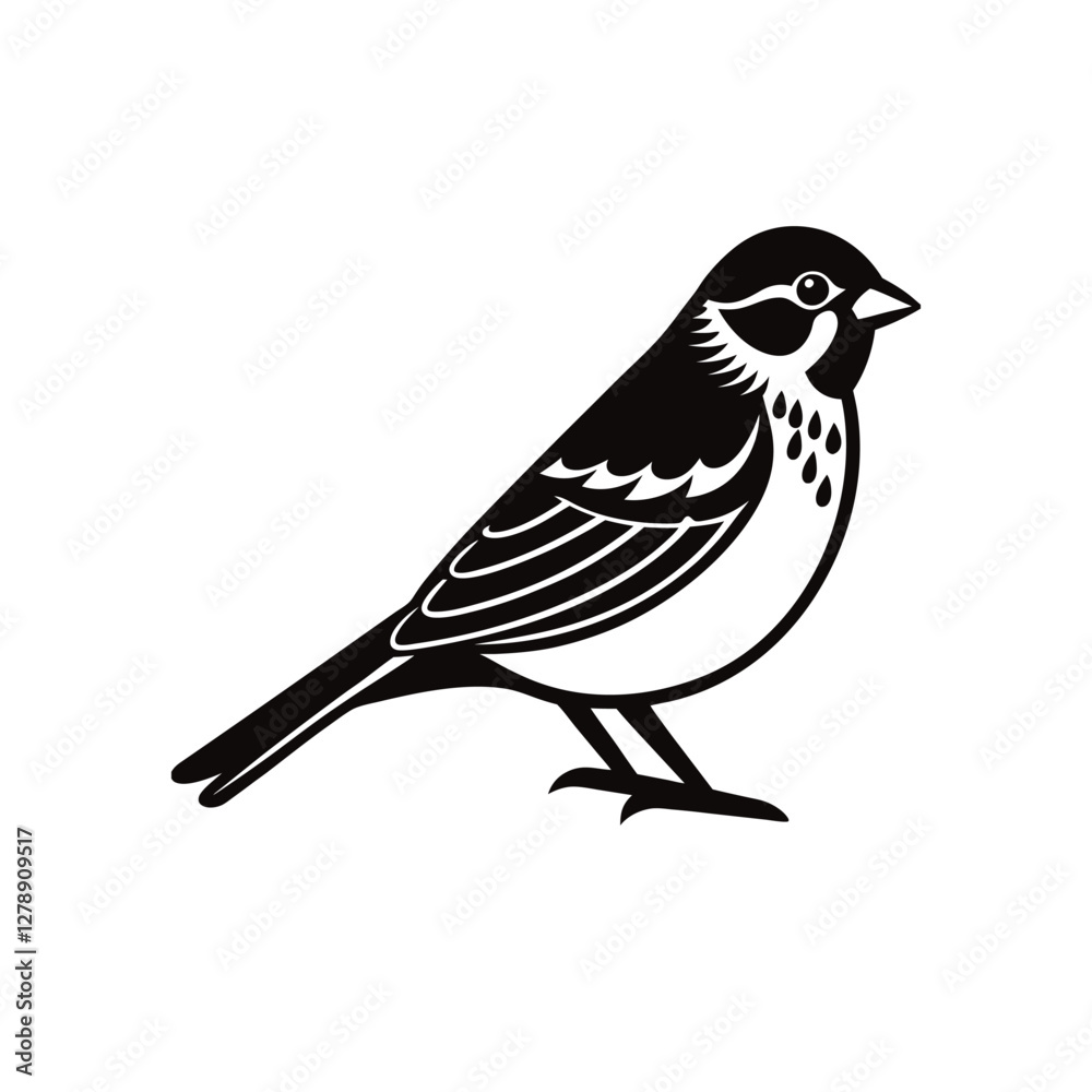 bird vector illustration bird vector illustration