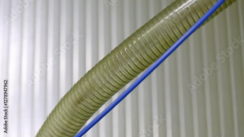 Yellow corrugated hose with blue stripe: A close-up view of flexible tubing, ideal for industrial or plumbing applications