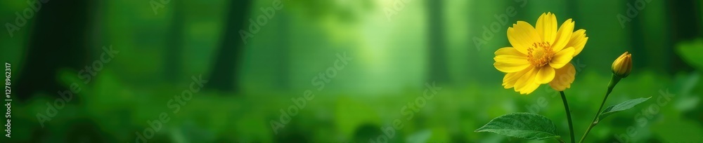 Yellow flower with delicate leaves in a misty forest, isolated, leafy green Yellow flower with delicate leaves in a misty forest, isolated, leafy green