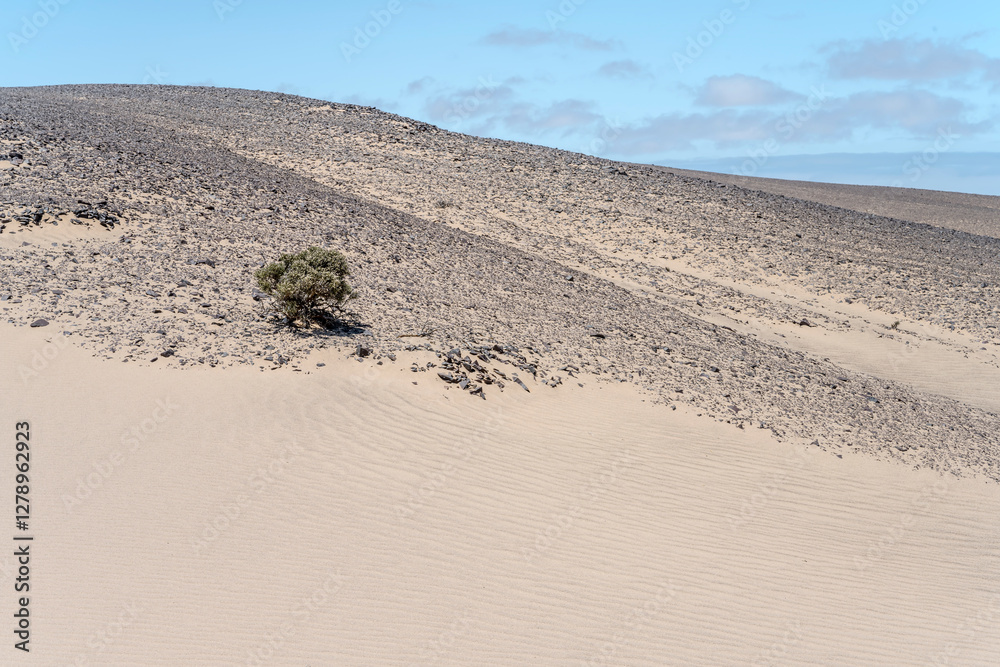 sand on basalt hill slopes, near Torra Bay, Namibia
