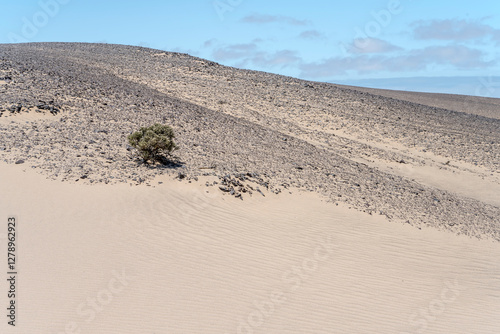 Obraz na płótnie sand on basalt hill slopes, near Torra Bay, Namibia w salonie