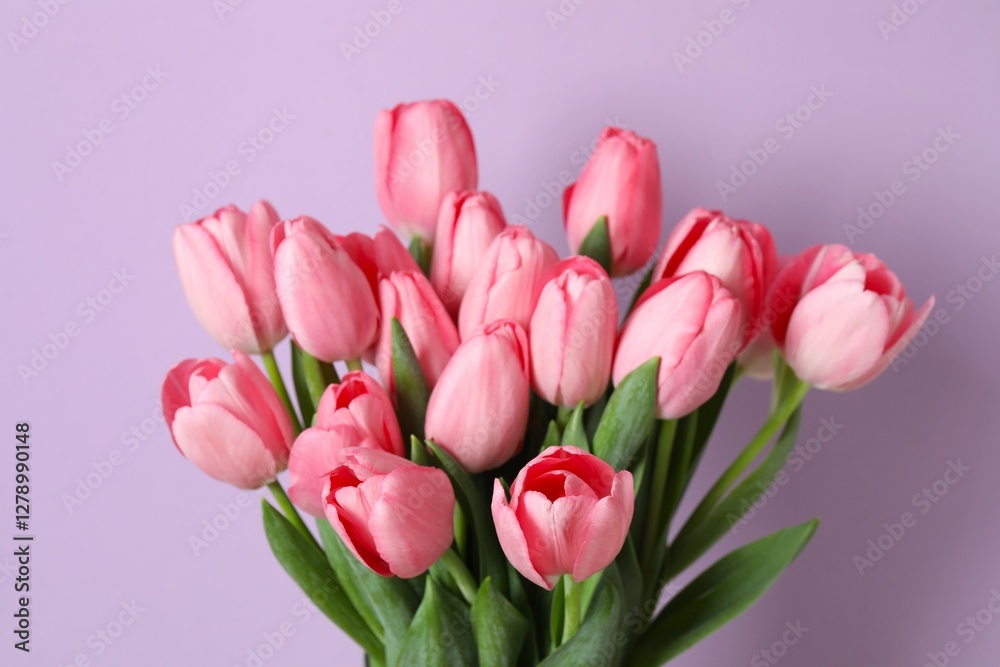 Fototapeta premium Beautiful fresh tulips on color background