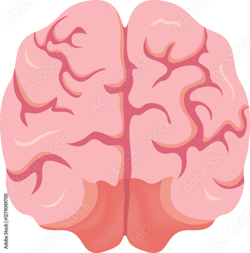 Human Brain Anatomy Design Vector Illustration