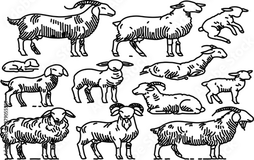 abstract illustration of sheep and goat line art set