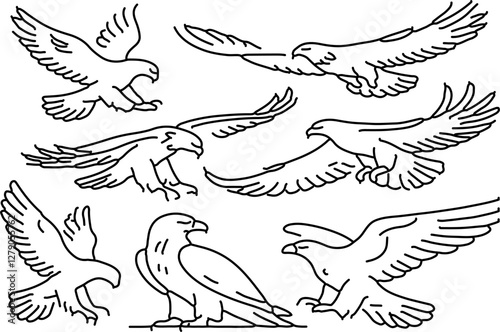 abstract illustration eagle set line art