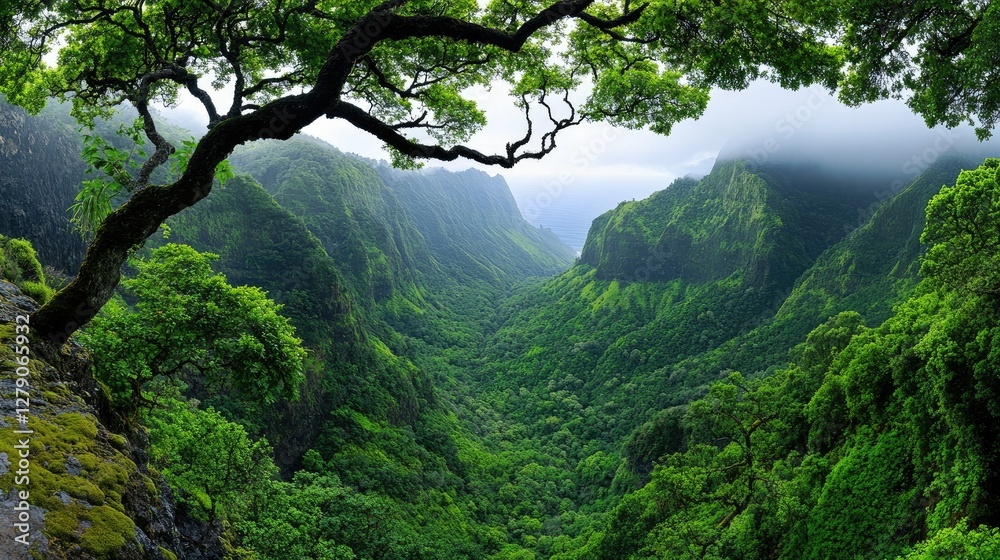 Lush green valley surrounded by mountains and misty landscape in an untouched natural environment during the early morning light