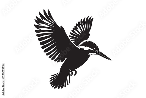 kingfisher silhouette with white background