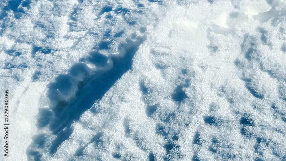 abstract white snow covered full frame texture winter theme. detail cold climate landscape adventure sport backdrop. abstract white snow covered full frame texture winter theme. detail cold climate landscape adventure sport backdrop.